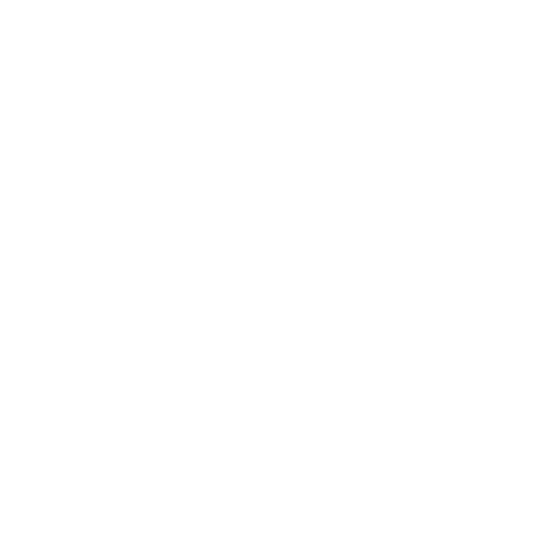Instagram white icon logo